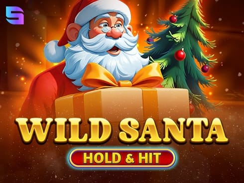 Wild Santa - Hold and Hit screenshot